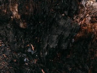 Dark and Moody Texture of Burnt Charcoal Wood