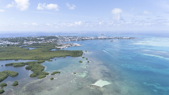 Aerial view of the coastline where lush green mangroves meet the turquoise sea near the city, San Andr&Atilde;&copy;s, San Andres and Providencia, Colombia.