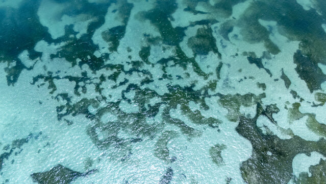 Aerial view of the ocean's floor with vibrant turquoise waters contrasting with the dark seaweed formations, San Andr&Atilde;&copy;s, San Andres and Providencia, Colombia.