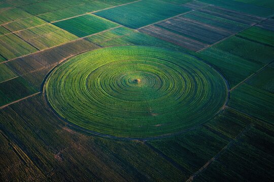 A high angle showcases a circular irrigation system within a patchwork of green agricultural fields. The image captures the geometric beauty and the scale of land use. - Powered by Adobe