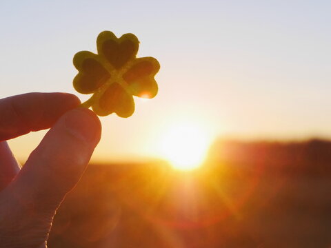 Hand holding a four leaf clover in front of a bright sun
