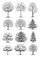 Diverse Tree Illustrations.