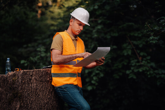 Forestry engineer examining plans in a forest