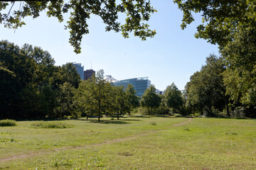 Tiergarten Park w Berlinie