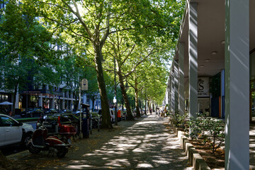Zielona i cienista ulica Budapesterstrasse w Berlinie