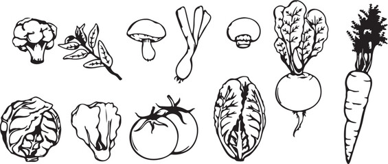 Vegetables, Fruits, Fresh Produce, Organic Farming, Healthy Eating, Garden Harvest, Nutrition Icons, Farm Fresh, Plant-Based, Natural Food, Black White Art, Market Symbols, Organic Patterns, Green Ico