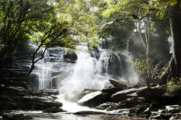 waterfall in the forest