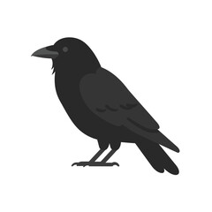 A detailed illustration of a solitary black crow standing on a white background