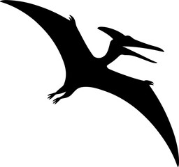 Pterodactyl Silhouette Vector Illustration © Hikmat Studios