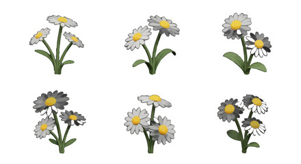 Daisy Cluster Vector Icon Set with White Petals and Yellow Centers