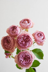 モーブティアラ