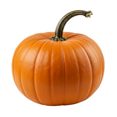 Obraz premium Vibrant Autumn Pumpkin: A Perfect Fall Harvest