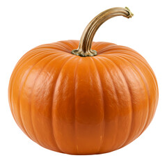 Obraz premium Perfect Pumpkin: Vibrant Autumn Squash for Fall Recipes and Decorations