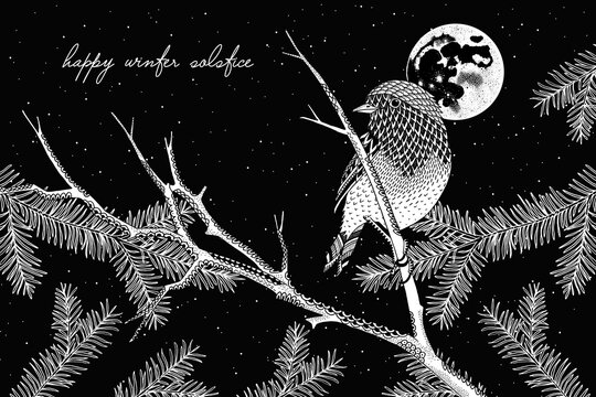 Hand Drawn Winter Solstice Illustration with Moon and Bird