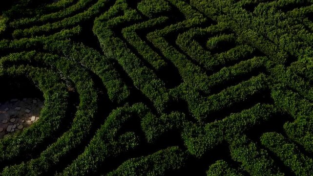 Aerial view of a dense green hedge maze with winding pathways forming a labyrinth