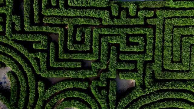 Aerial view of a dense green hedge maze with winding pathways forming a labyrinth