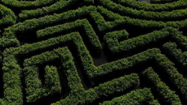 Aerial view of a dense green hedge maze with winding pathways forming a labyrinth