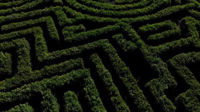 Aerial view of a dense green hedge maze with winding pathways forming a labyrinth
