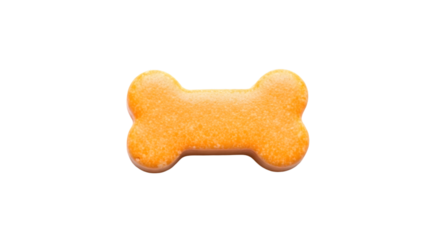 dog bone toy
