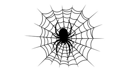 Fototapeta premium Spooky Spider Web with Spider Silhouette, Isolated on White