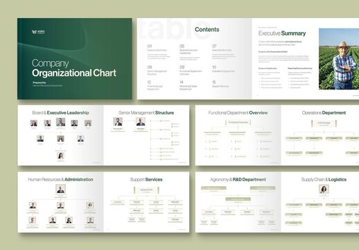 Organizational Chart Template for Company Org Chart, Corporate Hierarchy & Executive Team Structures
