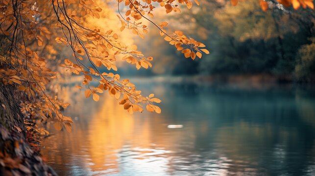 Autumn trees are reflected the water. Realistic video of a river in vibrant colors in autumn. A field of a picturesque landscape of 16:9 depth leaves shallow. Trees in autumn are lifestyle mirrored.