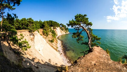 Coastal landscape with white cliffs and pine tree