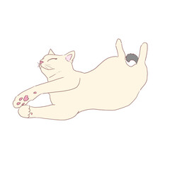 cute white cat illustration transparent background