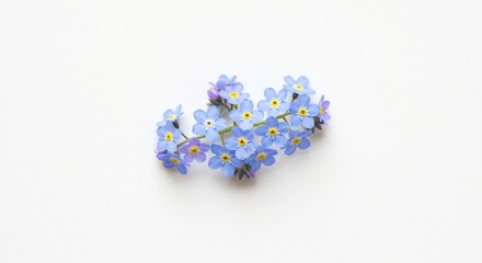 忘れな草 繊細な青 柔らかな光 上品な花束 (Wasurenagusa sensai na ao yawarakana hikari jouhin na hanataba) Translation: Forget-me-nots, delicate blue, soft light, elegant bouquet.. AI Generated
