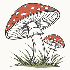 Two Stylized Fly Agaric Mushrooms with Red Caps and White Spots in Grass toadstool fungus
