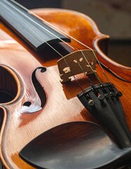 violin close up