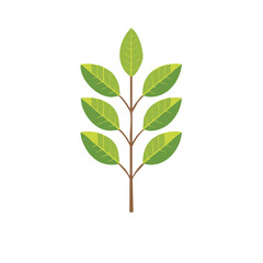 Simple Illustration of a Branch with Green Leaves on a White Background Ideal for Spring or Nature Themed Designs