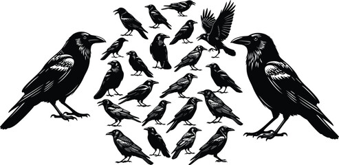 Stylized black crows and ravens in symmetrical composition with flying bird silhouettes, detailed feathers, and artistic high‑contrast vector illustration