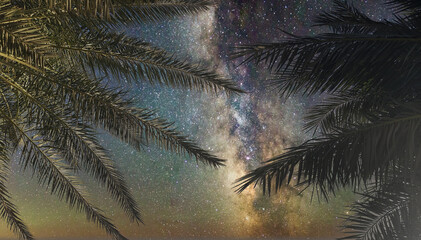 Night sky over tropical palm trees reveals a stunning view of the Milky Way galaxy
