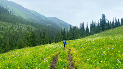 A lone tourist walks along a path in a green field past green forests to the Middle Kolsai Lake. A...