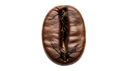 Single roasted coffee bean isolated on transparent background, a seed of the coffea plant and the source for coffee, a popular beverage