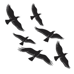 Black silhouettes of birds in flight flying flock