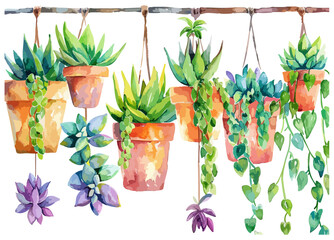 A Collection Of Colorful Succulents And Hanging Plants In Clay Pots On A White Background