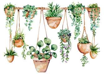 Hanging Planters with Various Plants in Earthy Pots Against a White Background