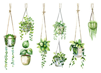 Collection Of Decorative Hanging Plants In Various Pots With Greenery And Natural Textures