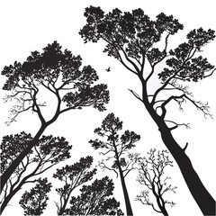 Forest canopy silhouettes against white sky with bird trees black