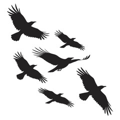 Seven black birds soaring in flight flying silhouette