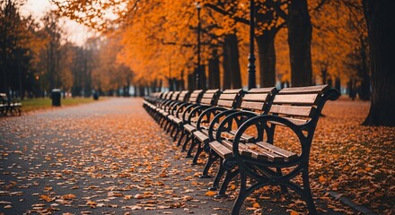 Empty park benches on an autumn day