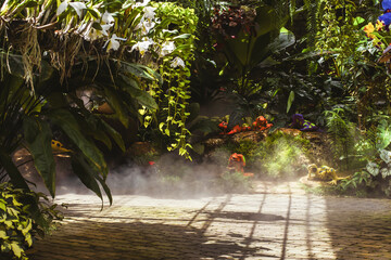 steam garden, gardening, relaxation, health,freshness, clear, fresh air on a day off