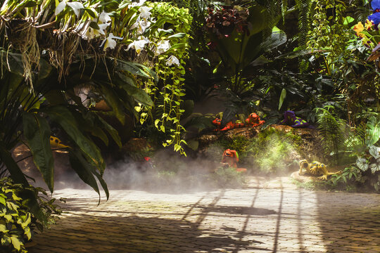 steam garden, gardening, relaxation, health,freshness, clear, fresh air on a day off