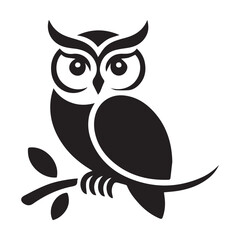 owl on white background
