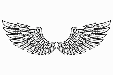 Detailed Angel Wings Vector Illustration in Black and White