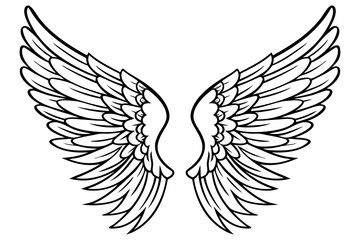 Fototapeta premium Vector Illustration of Detailed Angel Wings Line Art