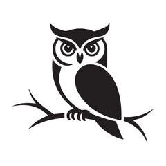 owl sitting on branch