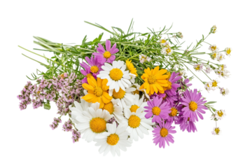 Natural wildflower cluster dancing in the wind isolated on transparent background